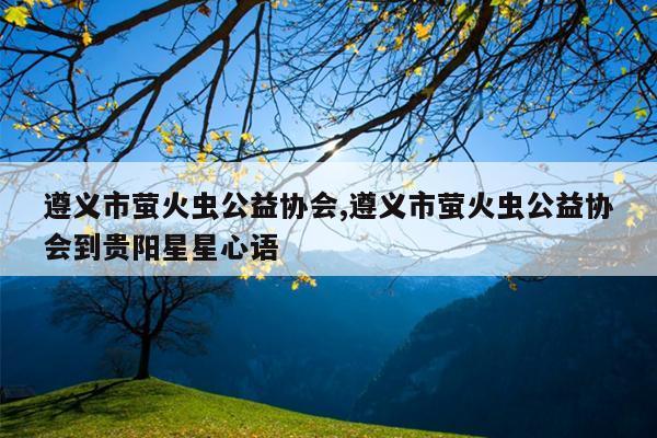 遵义市萤火虫公益协会,遵义市萤火虫公益协会到贵阳星星心语