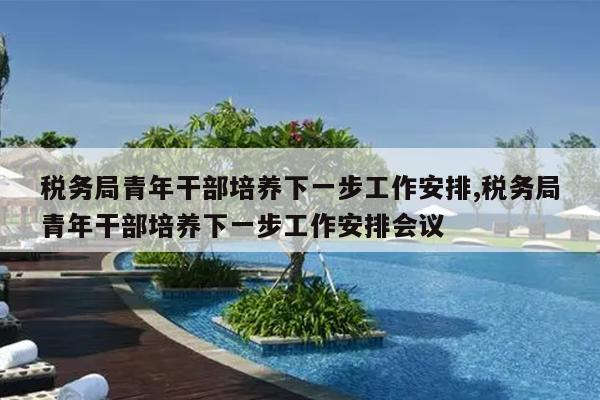 税务局青年干部培养下一步工作安排,税务局青年干部培养下一步工作安排会议