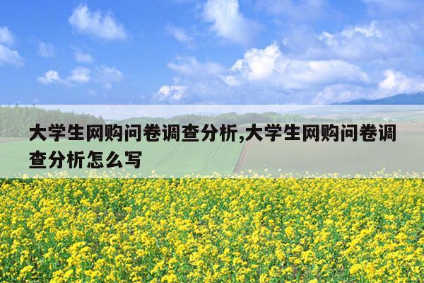 大学生网购问卷调查分析,大学生网购问卷调查分析怎么写