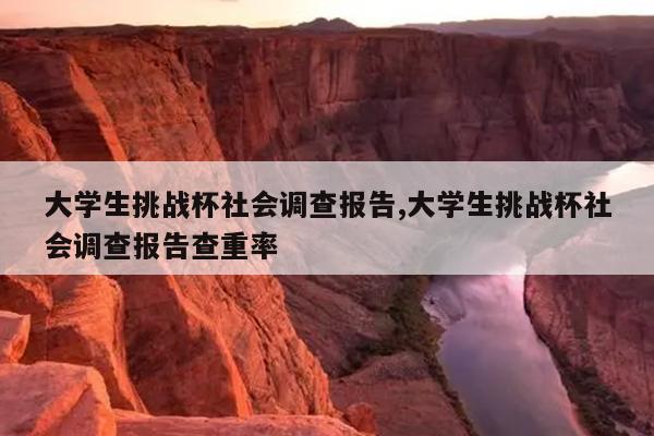 大学生挑战杯社会调查报告,大学生挑战杯社会调查报告查重率