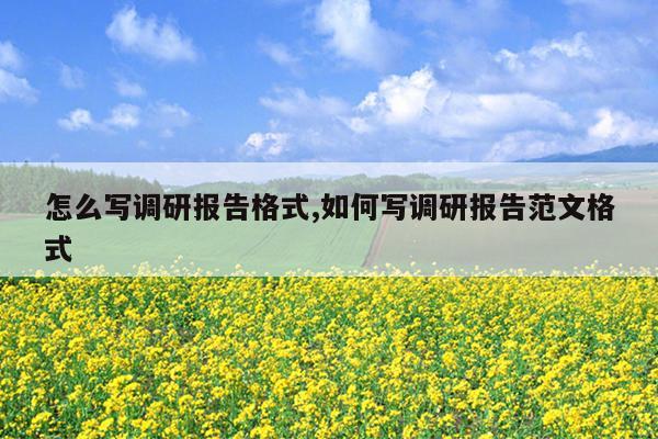 怎么写调研报告格式,如何写调研报告范文格式