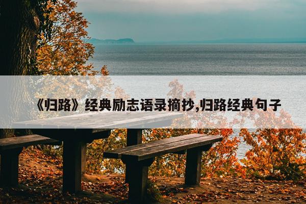 《归路》经典励志语录摘抄,归路经典句子