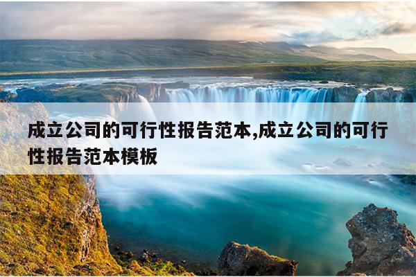成立公司的可行性报告范本,成立公司的可行性报告范本模板