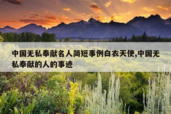 中国无私奉献名人简短事例白衣天使,中国无私奉献的人的事迹
