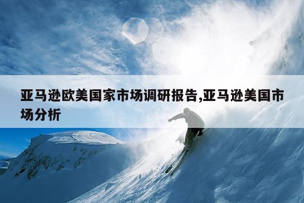 亚马逊欧美国家市场调研报告,亚马逊美国市场分析