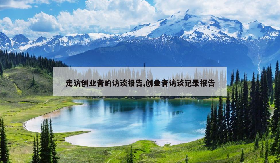走访创业者的访谈报告,创业者访谈记录报告