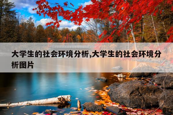 大学生的社会环境分析,大学生的社会环境分析图片