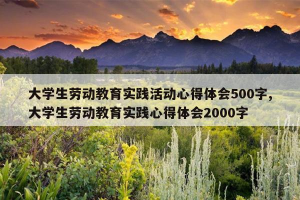 大学生劳动教育实践活动心得体会500字,大学生劳动教育实践心得体会2000字