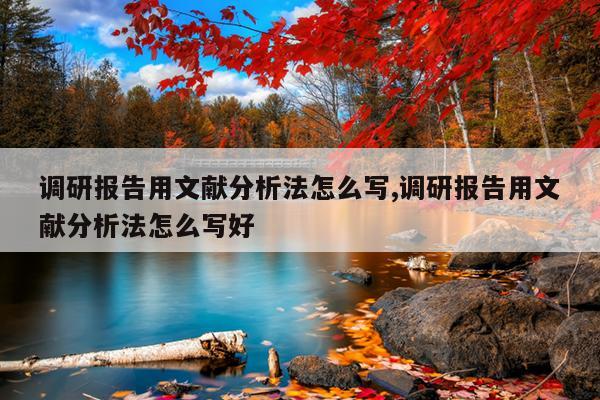 调研报告用文献分析法怎么写,调研报告用文献分析法怎么写好