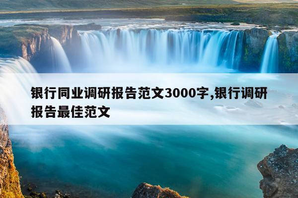 银行同业调研报告范文3000字,银行调研报告最佳范文