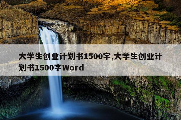 大学生创业计划书1500字,大学生创业计划书1500字Word