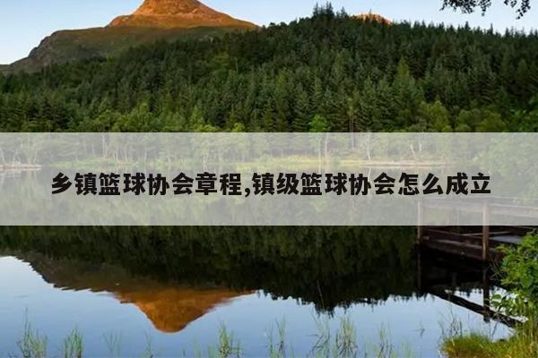 乡镇篮球协会章程,镇级篮球协会怎么成立