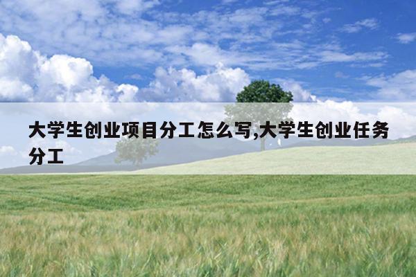 大学生创业项目分工怎么写,大学生创业任务分工