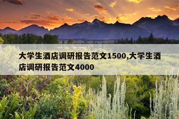 大学生酒店调研报告范文1500,大学生酒店调研报告范文4000