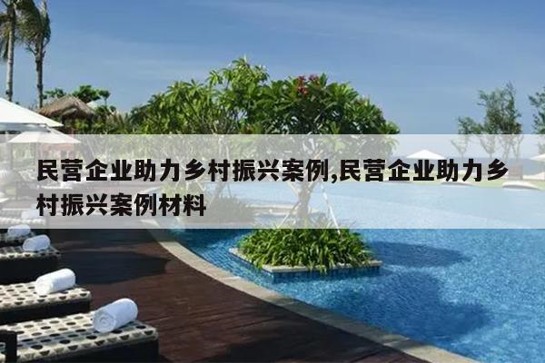 民营企业助力乡村振兴案例,民营企业助力乡村振兴案例材料