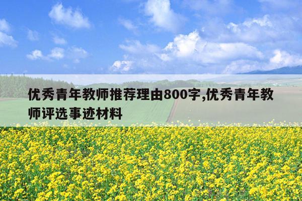 优秀青年教师推荐理由800字,优秀青年教师评选事迹材料