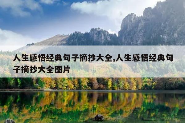 人生感悟经典句子摘抄大全,人生感悟经典句子摘抄大全图片