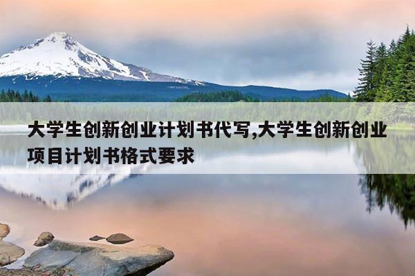 大学生创新创业计划书代写,大学生创新创业项目计划书格式要求