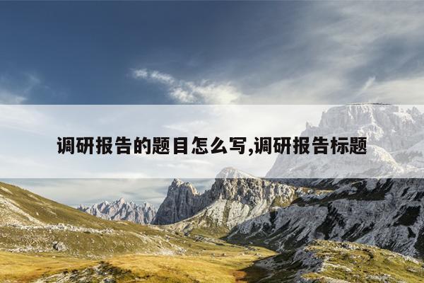 调研报告的题目怎么写,调研报告标题