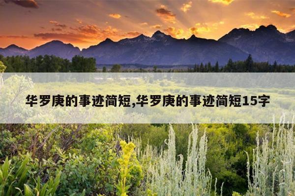 华罗庚的事迹简短,华罗庚的事迹简短15字