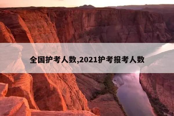 全国护考人数,2021护考报考人数