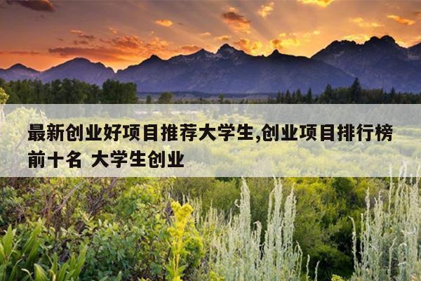 最新创业好项目推荐大学生,创业项目排行榜前十名 大学生创业
