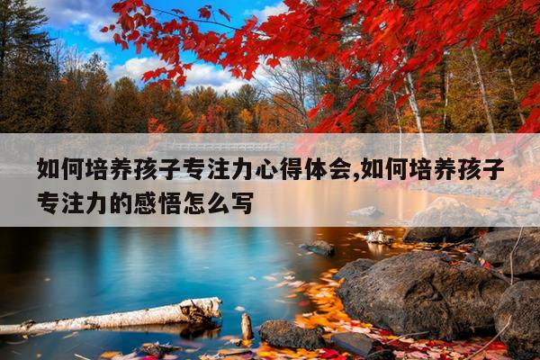 如何培养孩子专注力心得体会,如何培养孩子专注力的感悟怎么写