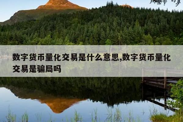 数字货币量化交易是什么意思,数字货币量化交易是骗局吗