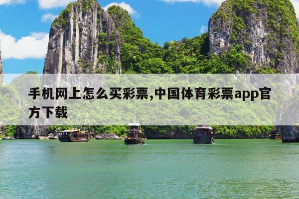 手机网上怎么买彩票,中国体育彩票app官方下载