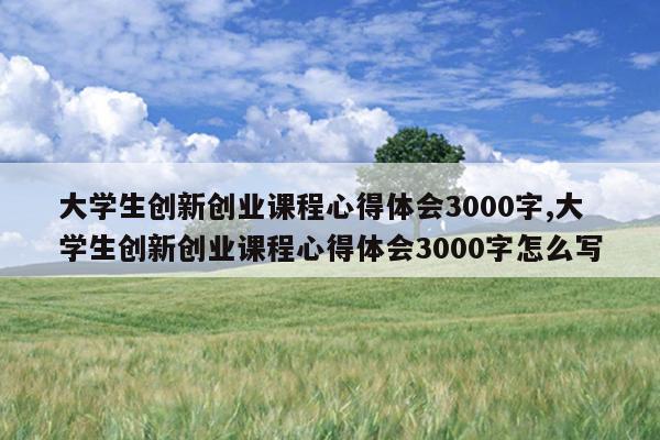 大学生创新创业课程心得体会3000字,大学生创新创业课程心得体会3000字怎么写