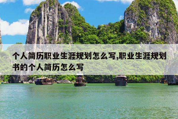 个人简历职业生涯规划怎么写,职业生涯规划书的个人简历怎么写