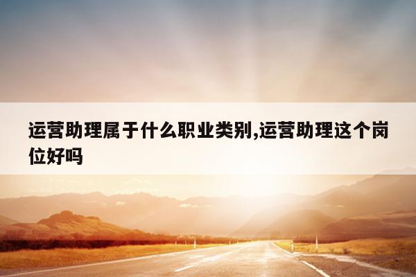 运营助理属于什么职业类别,运营助理这个岗位好吗