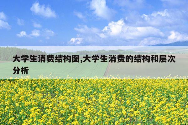 大学生消费结构图,大学生消费的结构和层次分析