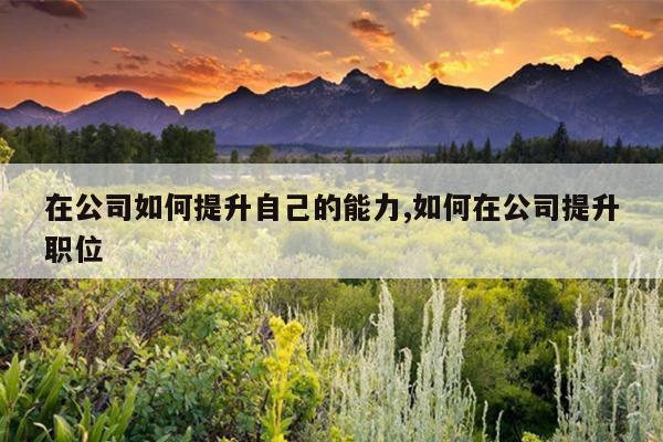 在公司如何提升自己的能力,如何在公司提升职位