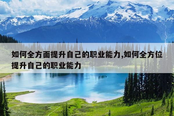 如何全方面提升自己的职业能力,如何全方位提升自己的职业能力