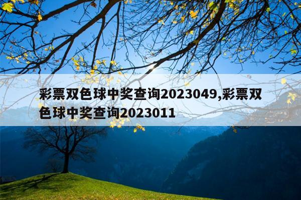 彩票双色球中奖查询2023049,彩票双色球中奖查询2023011
