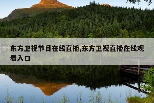 东方卫视节目在线直播,东方卫视直播在线观看入口