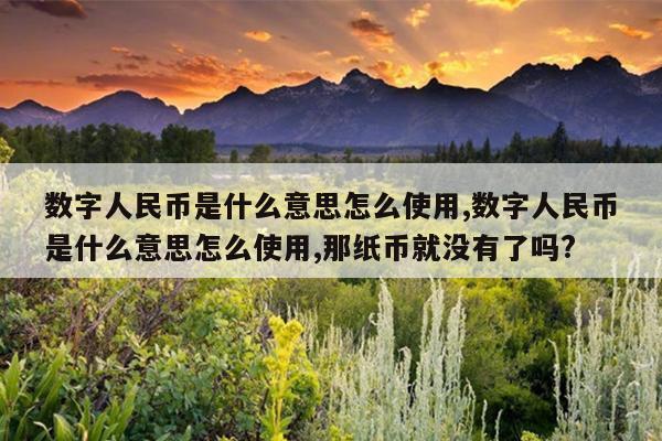 数字人民币是什么意思怎么使用,数字人民币是什么意思怎么使用,那纸币就没有了吗?