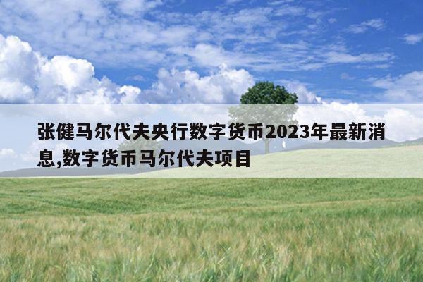 张健马尔代夫央行数字货币2023年最新消息,数字货币马尔代夫项目