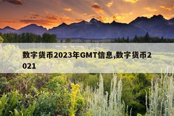 数字货币2023年GMT信息,数字货币2021