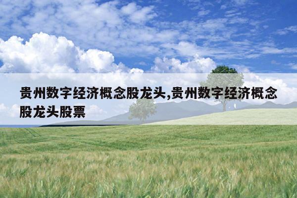贵州数字经济概念股龙头,贵州数字经济概念股龙头股票