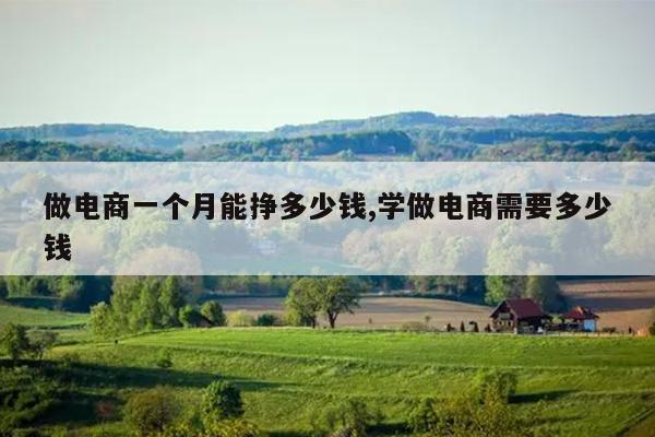 做电商一个月能挣多少钱,学做电商需要多少钱