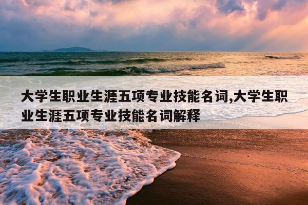 大学生职业生涯五项专业技能名词,大学生职业生涯五项专业技能名词解释