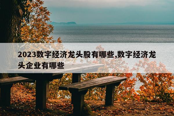 2023数字经济龙头股有哪些,数字经济龙头企业有哪些
