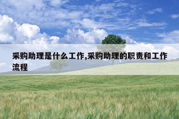 采购助理是什么工作,采购助理的职责和工作流程