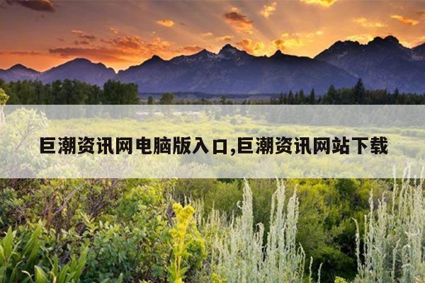 巨潮资讯网电脑版入口,巨潮资讯网站下载