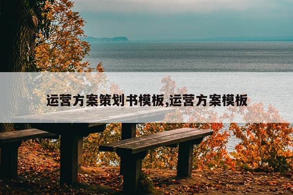 运营方案策划书模板,运营方案模板