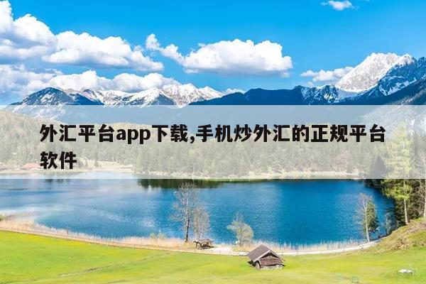 外汇平台app下载,手机炒外汇的正规平台软件