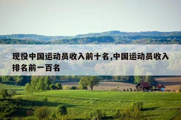 现役中国运动员收入前十名,中国运动员收入排名前一百名