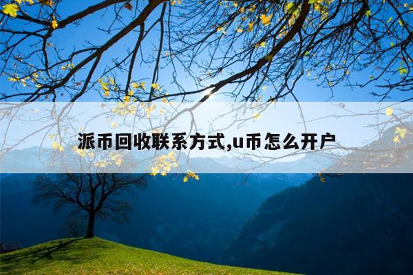 派币回收联系方式,u币怎么开户
